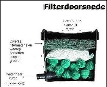 werking van een biologisch filter voor de vijver